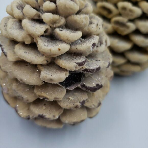 Pine Cone Tree Candle Set of 4 Wax Dept 56 Winter Decor Light Vintage Soap Scent - Picture 7 of 11